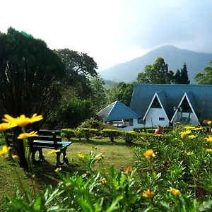 https://camelot-resort.hotels-munnar.com